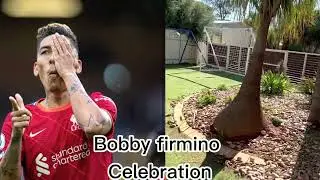 Recreating football celebrations 👋 PT1