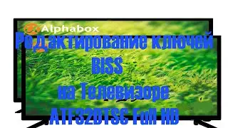 Редактирование ключей BISS на Телевизоре Alphabox