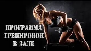 Программа тренировок для девушек или женские силовые тренировки