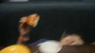 RANDY