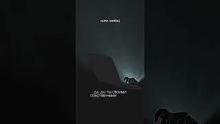 что такое motion design
