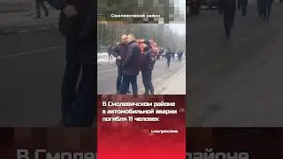 Шок! В Смолевичском районе в автомобильной аварии погибли 11 человек