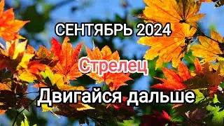СТРЕЛЕЦ 🍁 СЕНТЯБРЬ 2024🍁 Тароскоп.