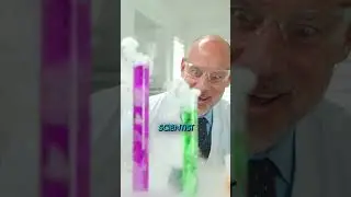 They are not geniuses #trading #viralvideo #crypto