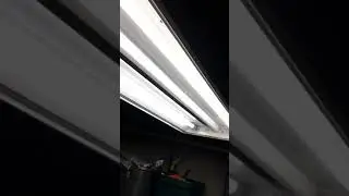 Toggled LED Ballast bypass install