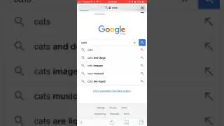 Google Lens in Image Search