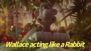 Wallace acting like a Rabbit - Were Rabbit Transformation