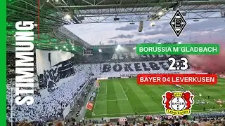 Borussia Mönchengladbach - Bayer 04 Leverkusen | Die Fohlen werden VerARscht + Wahnsinns Stimmung