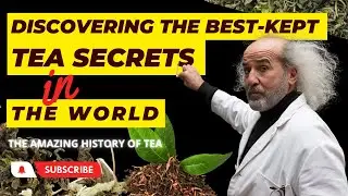 The Journey To Discover The World's Best-Kept Tea Secrets.
