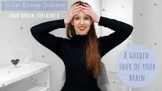 Your Brain Explained: A Guided Tour of Your Brain
