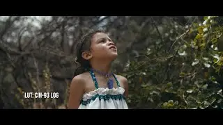 Hide and Seek BMPCC4k Shortfilm lut pack