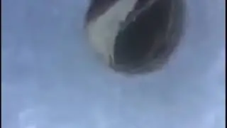 Дуплет.