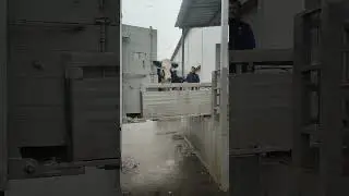 Выгружаем наших коров
