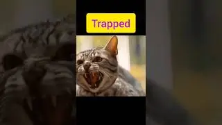 Horror clip