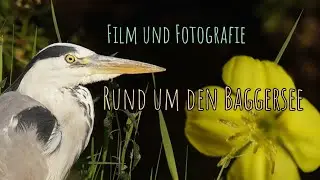 Film und Fotografie am Baggersee, Vögel und noch etwas mehr...