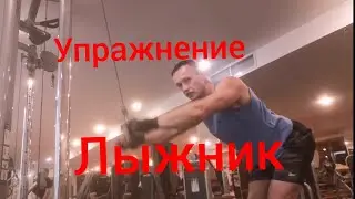 Упражнение лыжник/ Упражнение пуловер в блоке. 