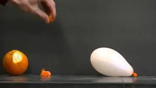 Pop a balloon with an orange peel!  Simple Science Experiment!