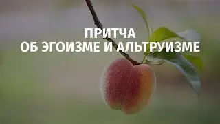 Об эгоизме и альтруизме. Притча