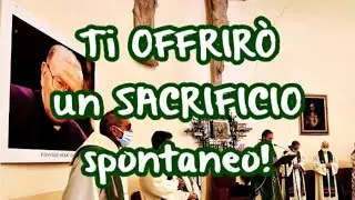 Ti OFFRIRÒ un SACRIFICIO spontaneo 🔥 - XXV Domenica del Tempo Ordinario - Anno B - 2024