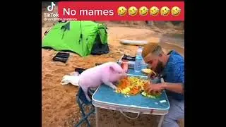 no mames