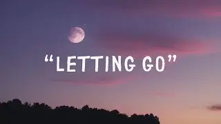 “Letting Go” 🎵 💔 #lyricsvideo  #songs #music #indiepop #newsong #indiemusic #musicvideo #newsongs