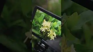 Monitor Every Detail with 2000nit Brightness on NEEWER F700