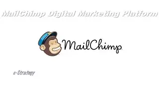 🐵🤖 MailChimp's Evolving Digital Marketing Platform