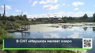 В СНТ «Ивушка» мелеет озеро