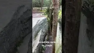 Incredible rocks to climb. Bilger’s Rocks. Clearfield County PA.