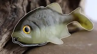 Is It The Best Swimbait For Fishing Ponds!? Yunique Baits Weedless Gill In-Depth Review