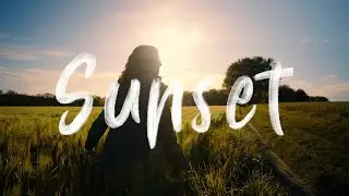 Cinematic Sunset Video Portrait | Forest of the blue flowers