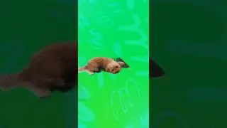 13 мая 2023 г.
