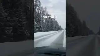 Дорога домой 