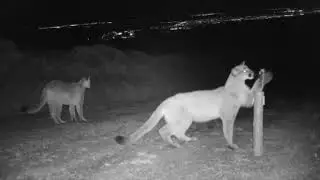 2015 Best of Trail Cameras