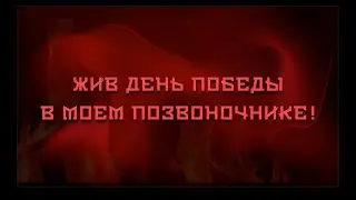 ЖИВ ДЕНЬ ПОБЕДЫ В МОЕМ ПОЗВОНОЧНИКЕ !