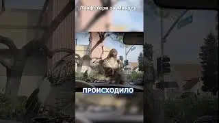 Ястреб остался с  носом..