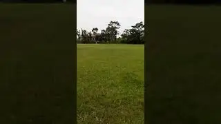 Test ride ninja kebo💨