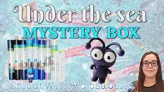 Under the sea Mystery Box