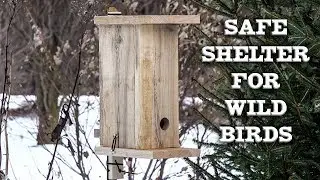 Winter Roost or Shelter For Wild Birds, How to Make Your Own. Chickadee, Titmouse, Woodpeckers...