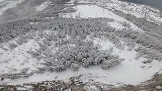 The Spring Snow - Golden VAL