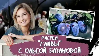 Вебинар от Ольги Базановой - 