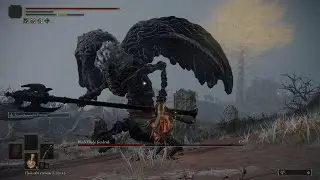 ELDEN RING- Black Blade Kindred Boss #44
