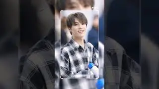 Dino #Leechan#seventeen