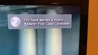 Harry Potter and the Deathly Hallows Pt. 1 platinum PS3 trophy.
