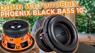 ЗЛОЙ НАСОС ОТ DL AUDIO - BLACK BASS 10