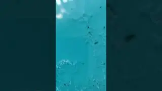 журнальный столик с эпоксидной смолой