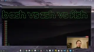 Quale shell? bash vs zsh vs fish