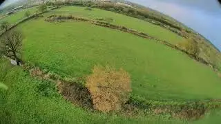 everards meadow