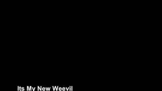 Weevil......