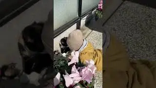 #Лёва_это_клёво